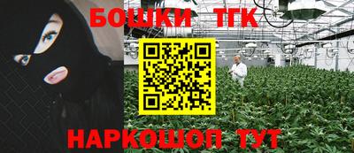 твердый Новодвинск