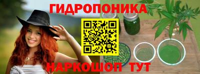 твердый Новодвинск
