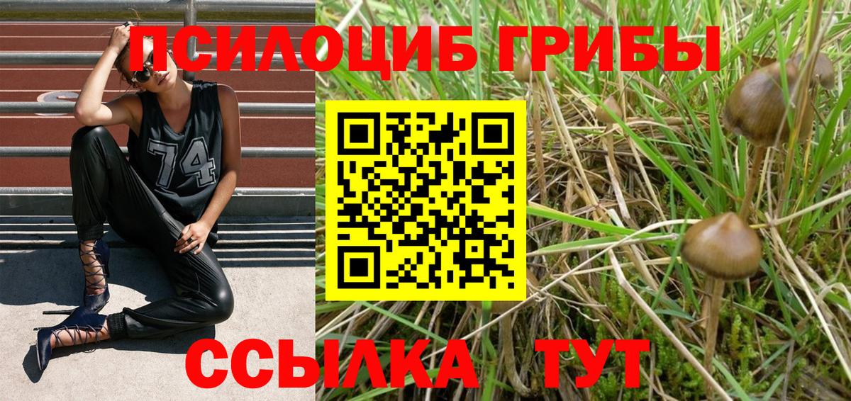 Псилоцибиновые грибы MAGIC MUSHROOMS Ржев